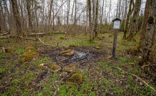 21_Šauklių senovės kulto vieta 1 (3).jpg